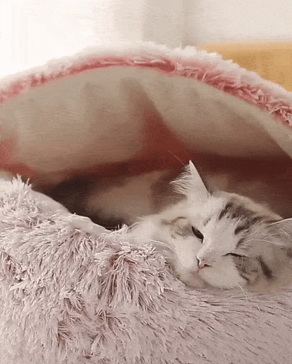 Kuschelnest – Beruhigende Hundebett – Für Katzen und Hunde – Weiches Material