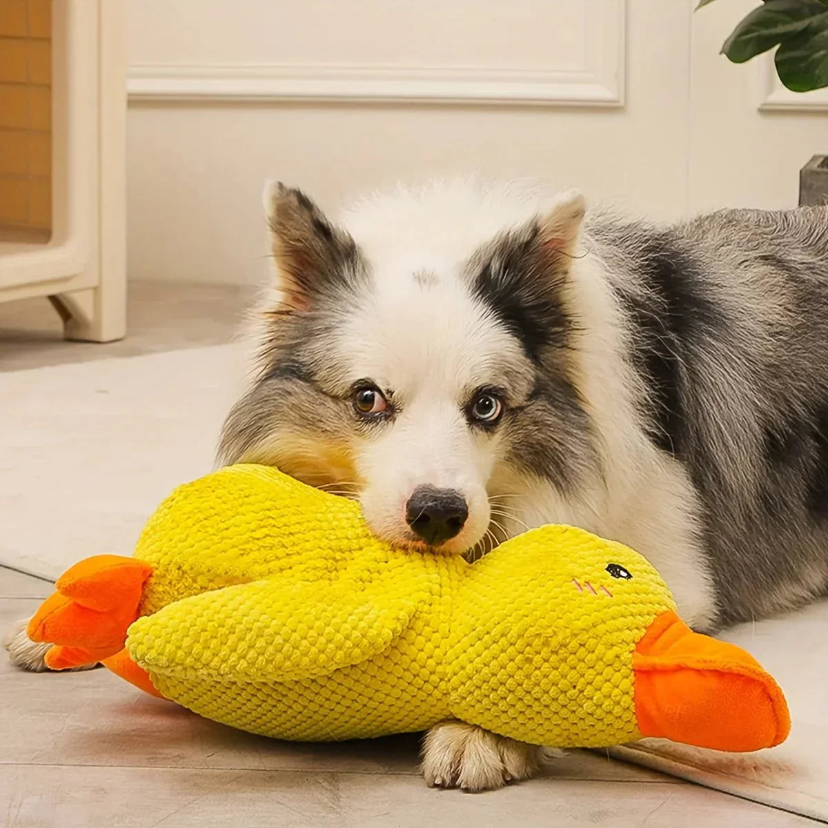 CalmiDuck Comfort | Kuschelig Plüsch-Ente für Hunde