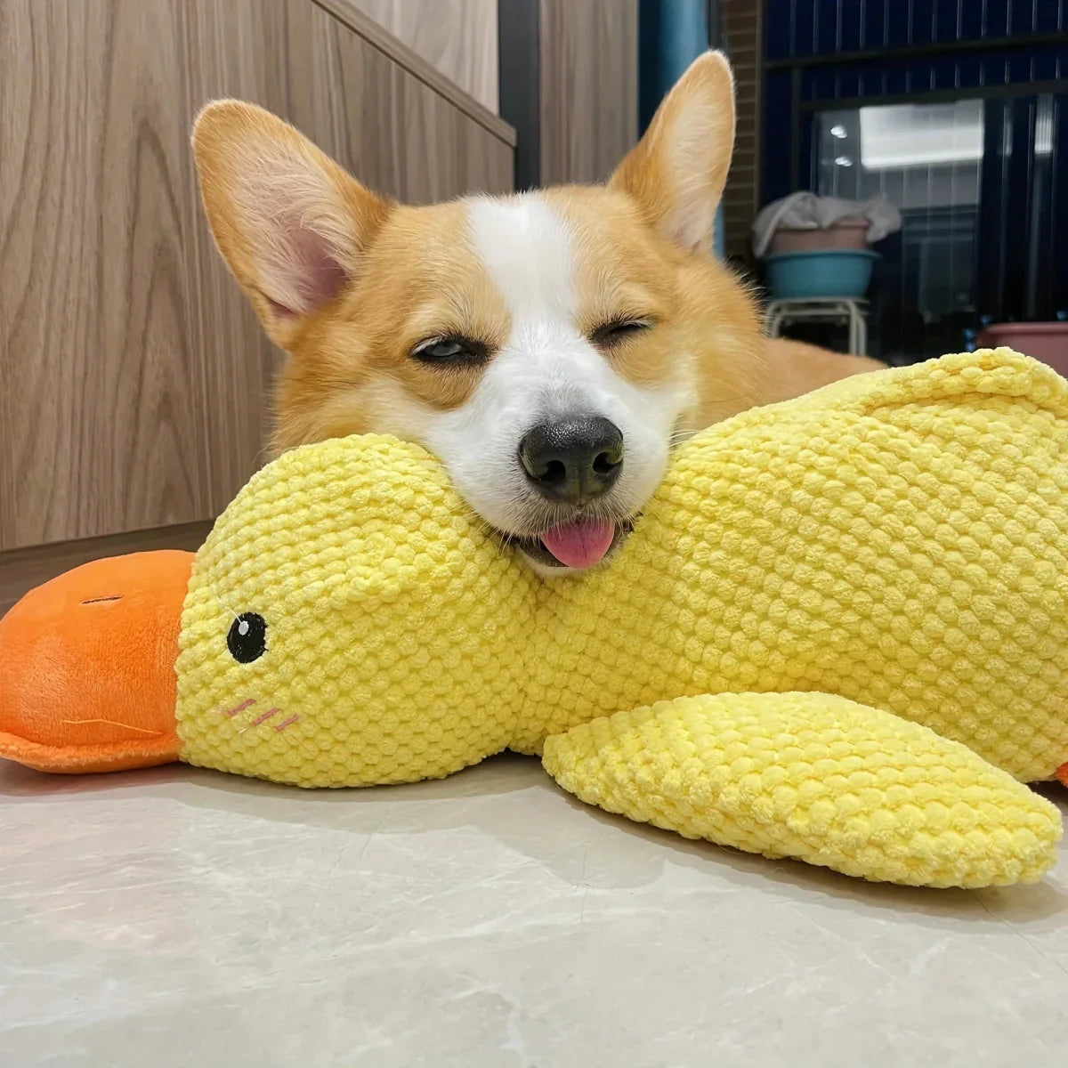CalmiDuck Comfort | Kuschelig Plüsch-Ente für Hunde