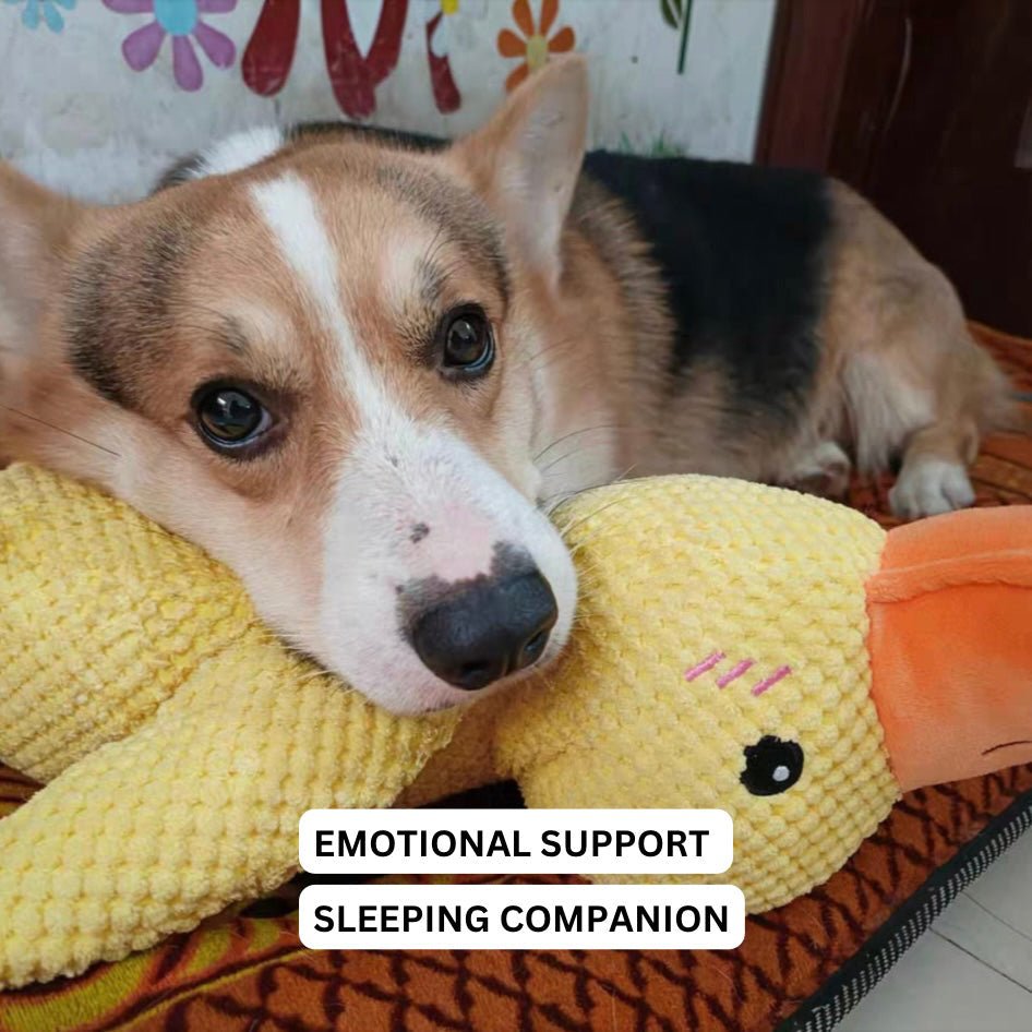 CalmiDuck Comfort | Kuschelig Plüsch-Ente für Hunde