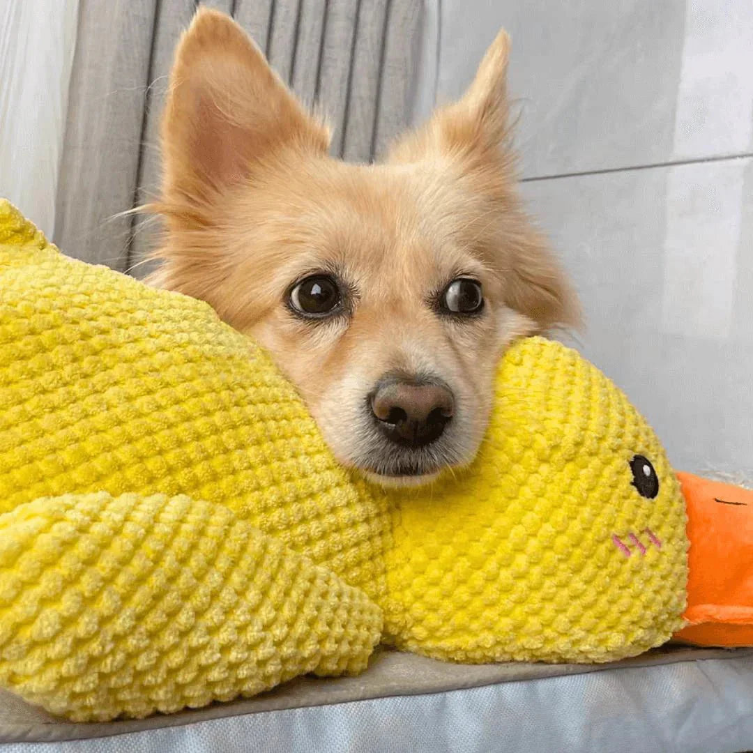 CalmiDuck Comfort | Kuschelig Plüsch-Ente für Hunde