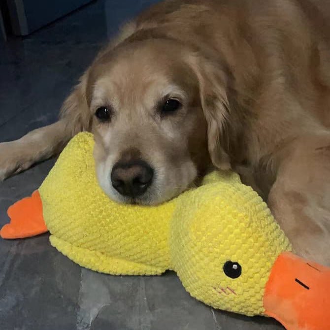 CalmiDuck Comfort | Kuschelig Plüsch-Ente für Hunde