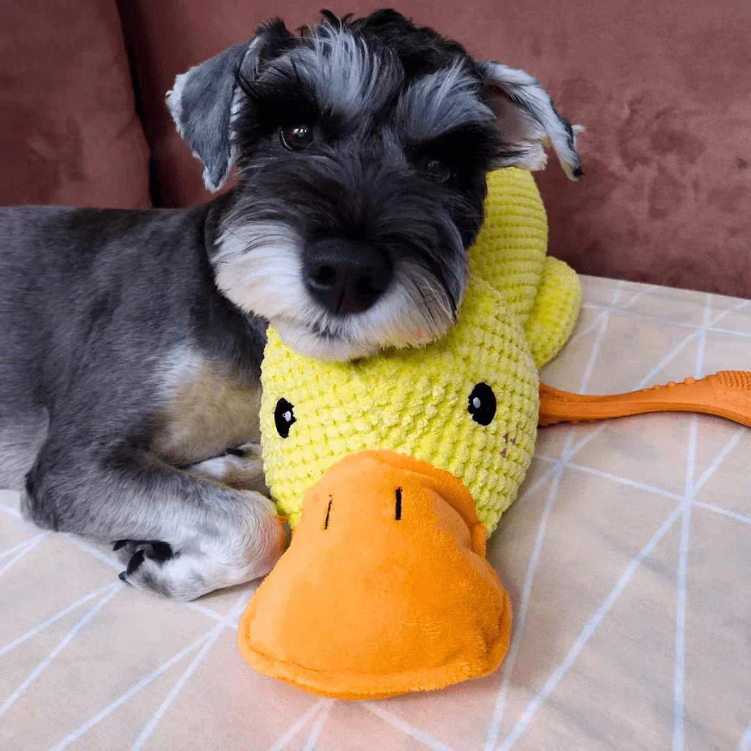 CalmiDuck Comfort | Kuschelig Plüsch-Ente für Hunde
