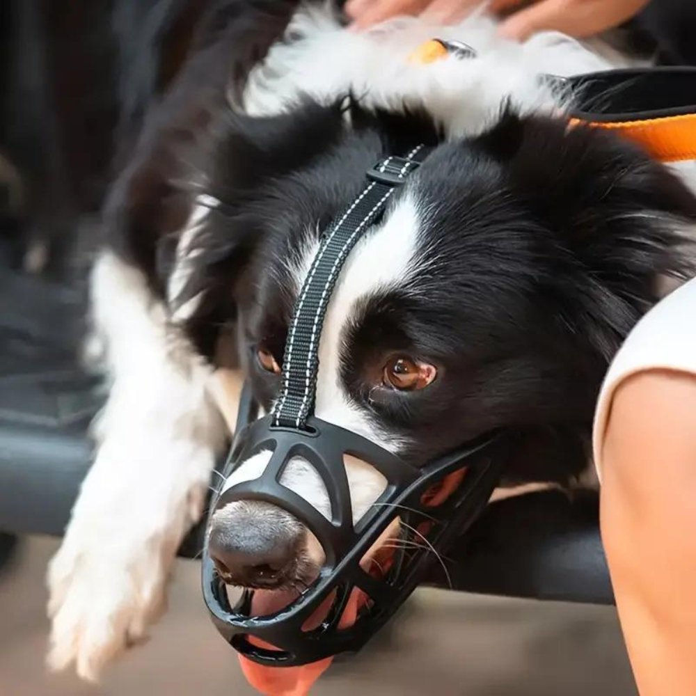 Hundemaske – Atmungsaktiv – Sicherer Sitz – Für Hunde