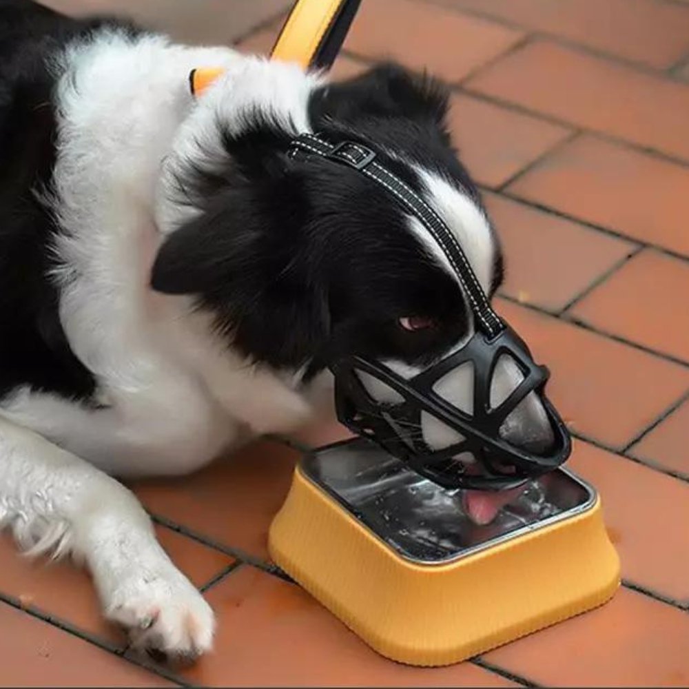 Hundemaske – Atmungsaktiv – Sicherer Sitz – Für Hunde