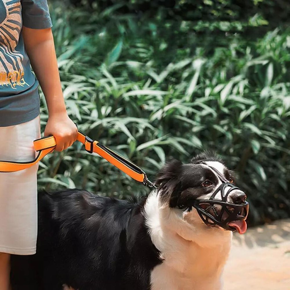 Hundemaske – Atmungsaktiv – Sicherer Sitz – Für Hunde