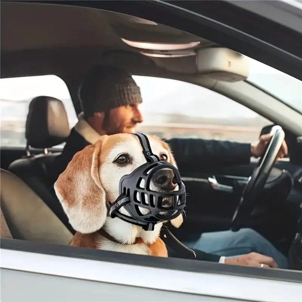 Hundemaske – Sicherer Sitz – Strapazierfähiges Material – Für Hunde