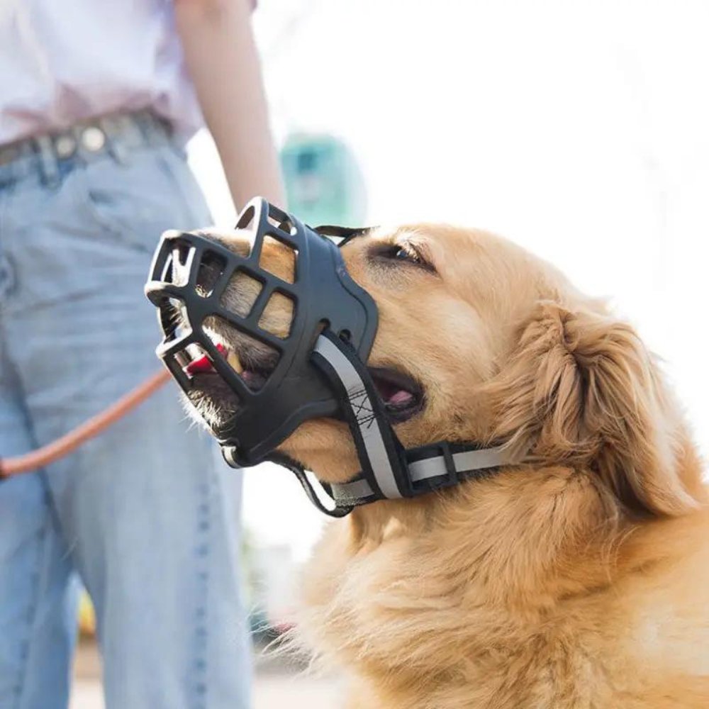 Hundemaske – Sicherer Sitz – Strapazierfähiges Material – Für Hunde