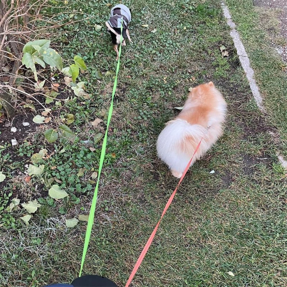 Doppelleine für Hunde – verstellbar – anti-verwickelnd – für zwei Hunde
